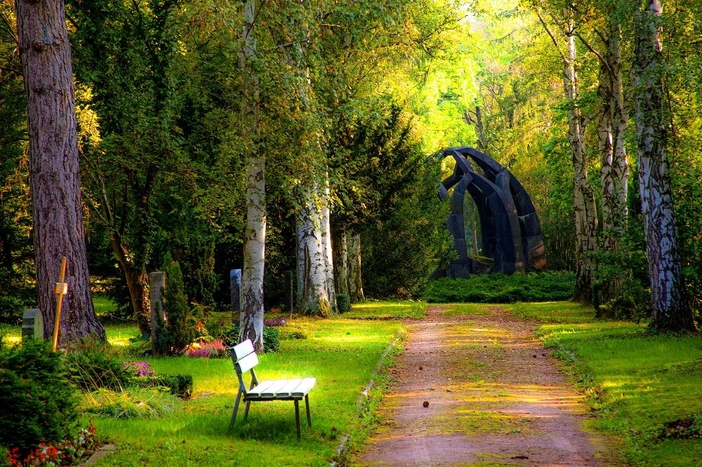 MAGGIO IN GIARDINO